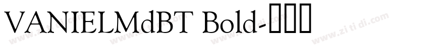 VANIELMdBT Bold字体转换